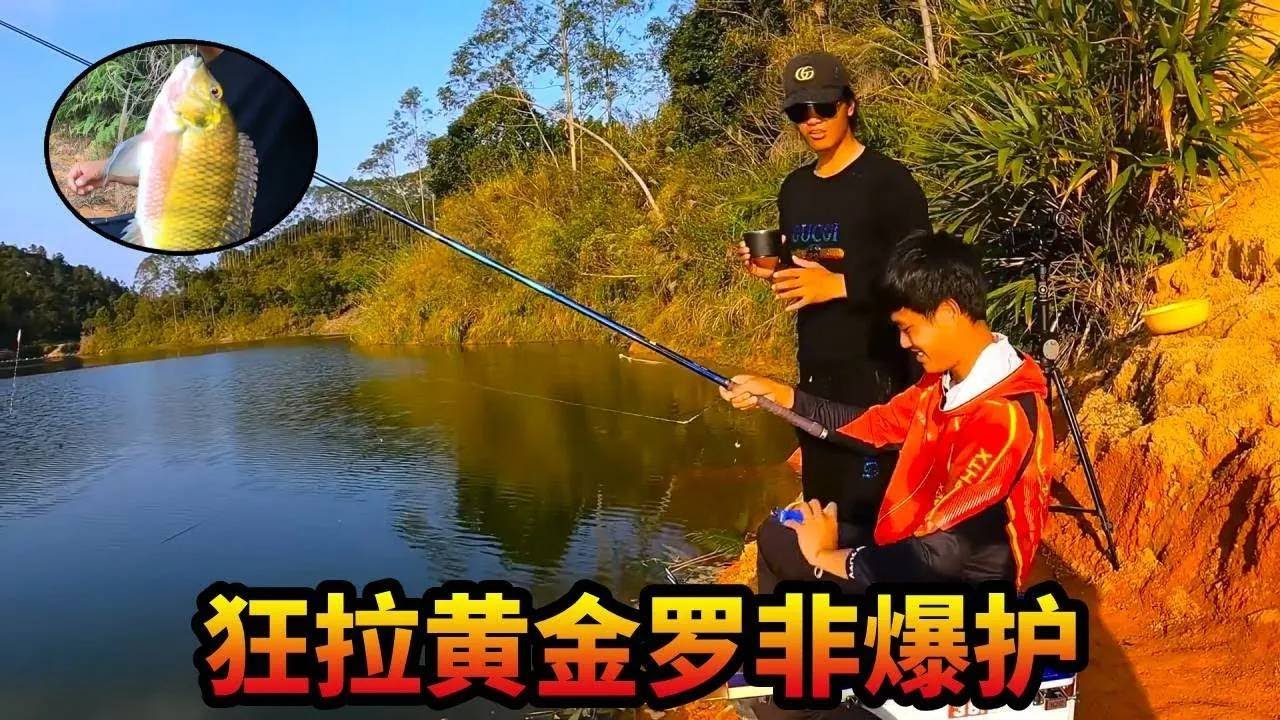 野外探钓水库，人工给车开路，狂拉黄金罗非爆护！【游钓黑坑—疯子】