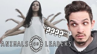 ANIMALS AS LEADERS | The Problem of Other Minds | Metal Musician Reaction