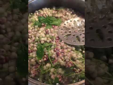 ДЖОНДЖОЛИ (клекачка)съедобные цветы,деликатес,соленая закуска