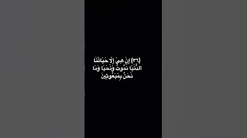 سورة المؤمنين | القارئ ياسر الدوسري