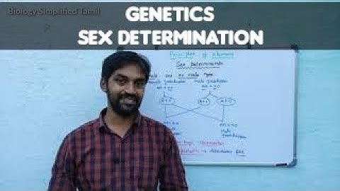 Sex determination | Genetics | Senthilnathan