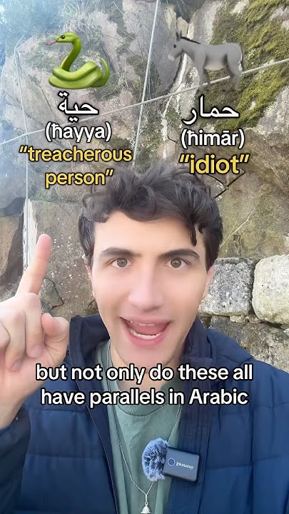 Arabic’s Creativity with Animal Names! #sponsored - YouTube