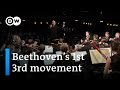 Beethoven Symphony No 1 3rd Movement Paavo Järvi And The Deutsche Kammerphilharmonie Bremen Beethoven Symphony No 1 3rd Movement Paavo Järvi And The Deutsche Kammerphilharmonie Bremen