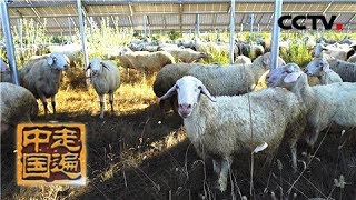 《走遍中国》 20180410 4集系列片《大同大不同》(2)废能新用 | CCTV中文国际