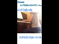 小さな雨の日のクワームイ/Coccoを演奏しました(歌詞付き)