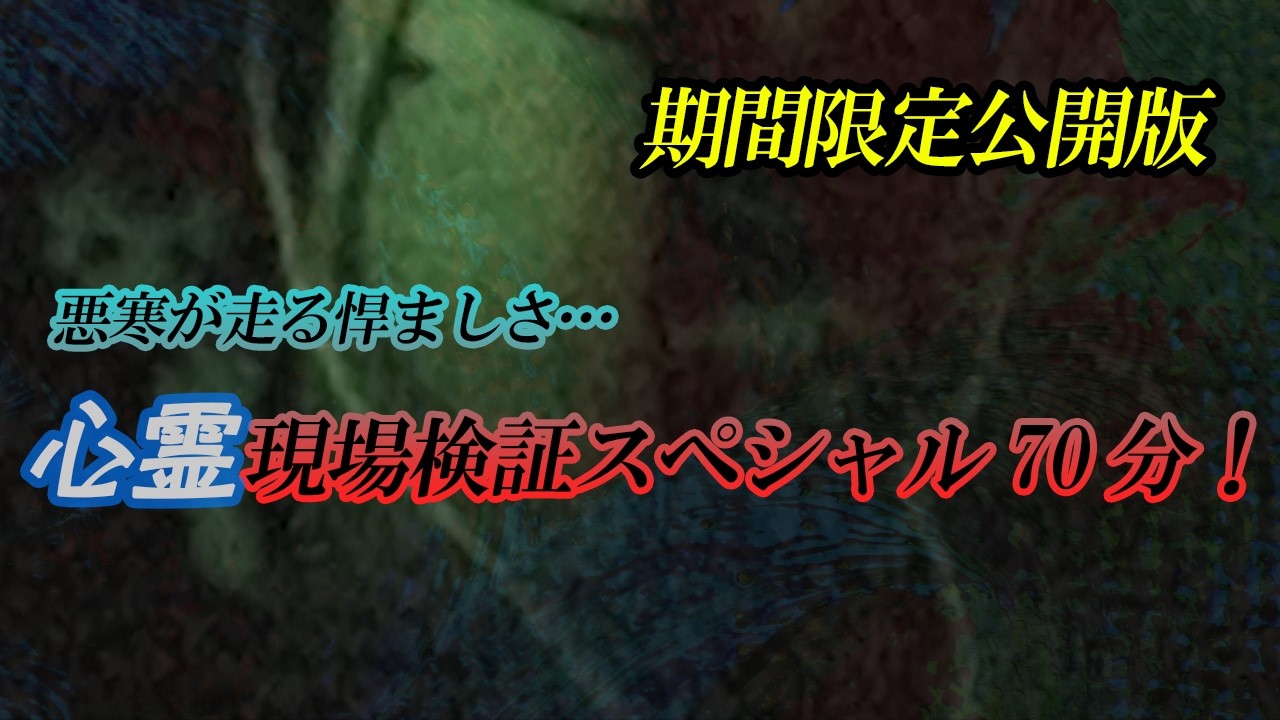 【期間限定公開版】悪寒が走る悍ましさ…　心霊現場検証スペシャル70分！