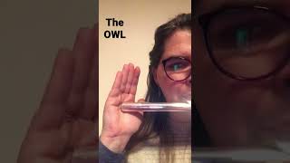 The OWL Flute Head Joint warm up