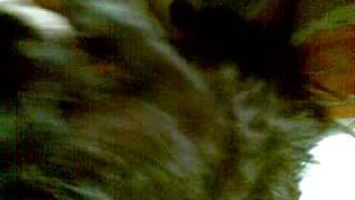 07122009.mp4