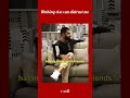 Nothing else can distract me || PickMyWork || #viratkohlistatus #shorts #mondaymotivation