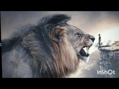 يا دنيا الشوم تعباني ليا بس شعر صعيدي حزين شاعر ابن الصعيد