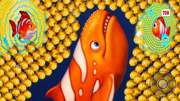 Fishdom 🐠 ads Mini Games 55.9 New update. Hungry fish video gameplay Hadi gaming yt