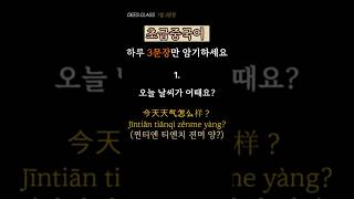 중국어 초보자 필수! 기초문장으로 쉽게 배우는 중국어 | 초급중국어 | 중국어쇼츠 | 중국어회화