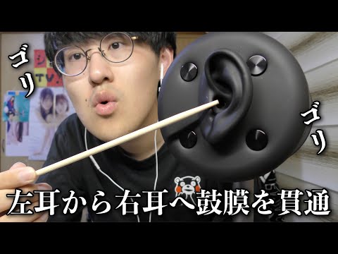 【ASMR】竹の棒で鼓膜を貫通する耳かきがすごいぞ！！