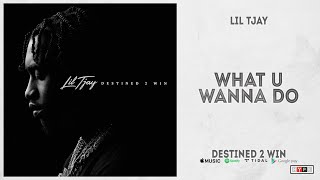 Lil Tjay  What You Wanna Do destined 2 Win