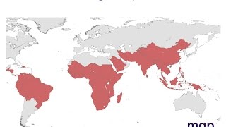 Malaria: the battle continues