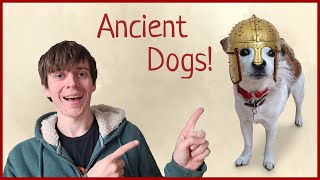 A Modern Guide to Ancient Dogs (and how to name them)