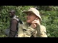 В поисках горных горилл Уганды