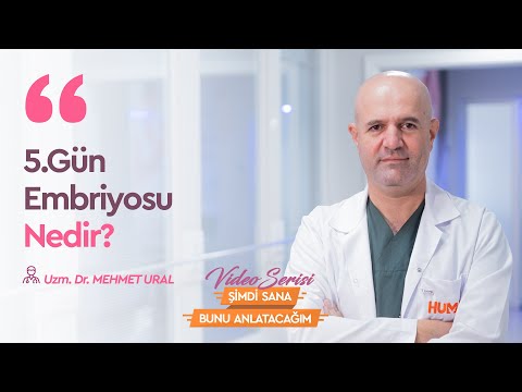 5. Gün Embriyosu Nedir