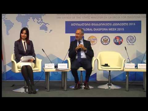დიასპორული ეკონომიკური რეგიონული ფორუმი - პირველი პანელი