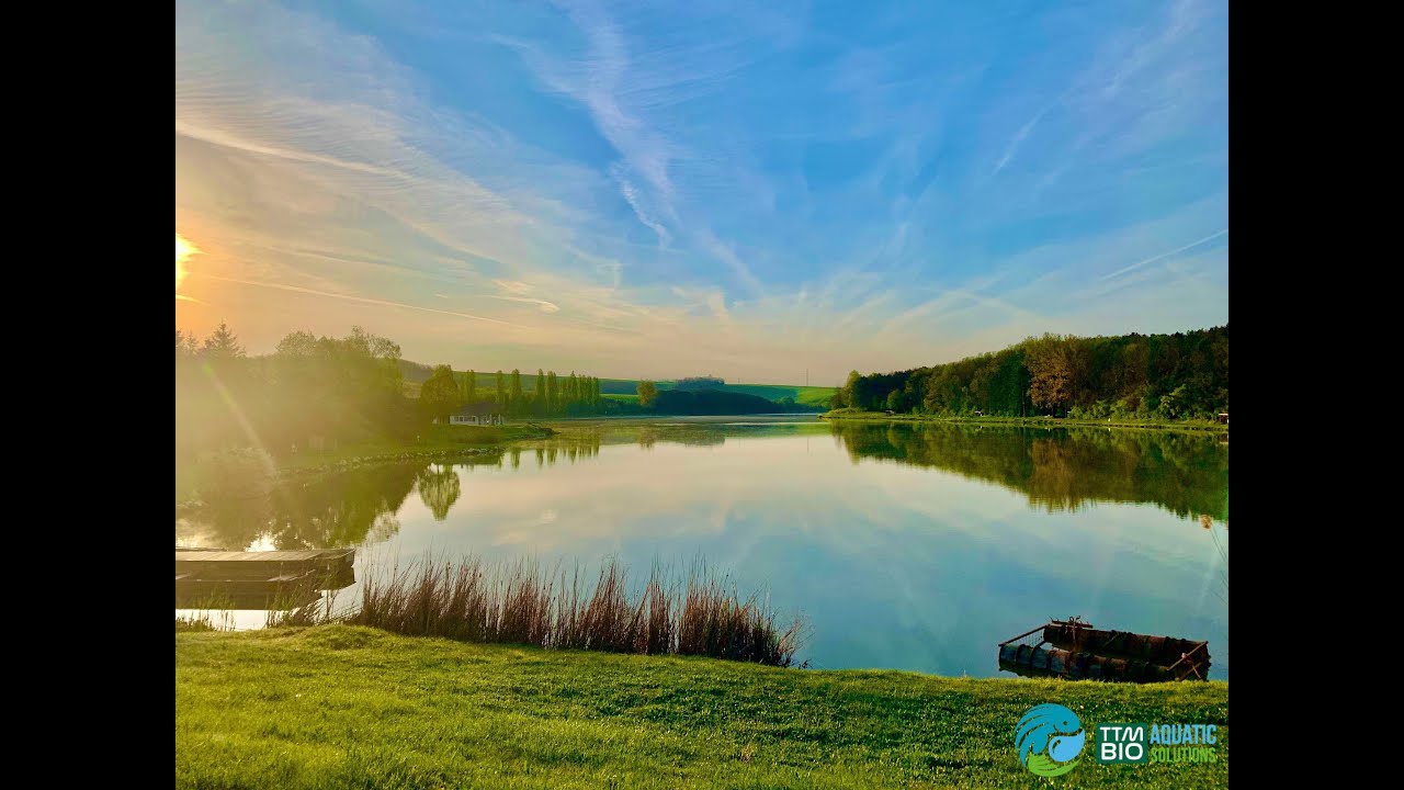 TTM-BIO csalikkal a gyermelyi tavon
