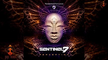 Sentinel 7 - Perception