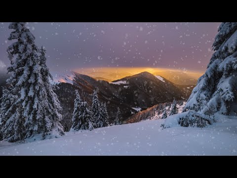 ირაკლი მეტრეველი - ზამთრის ბალადა