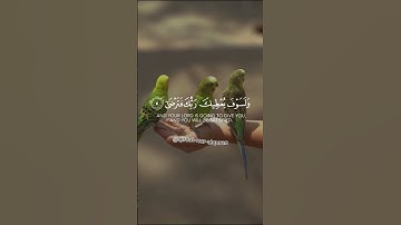 الشيخ ماهر المعيقلي ❤ولسوف يعطيك ربك فترضى🤲 سورة الضحى - Surah Adh-Dhuha
