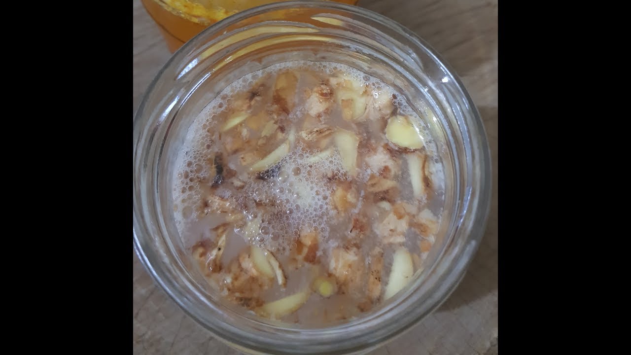 FERMENTADOS # GINGER BUG