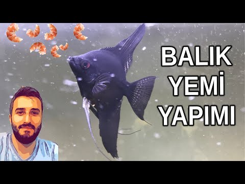 BALIK YEMİ KENDİN YAP