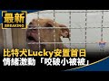 比特犬事件