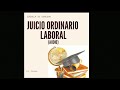 Fase pública, Juicio ordinario laboral (completo)