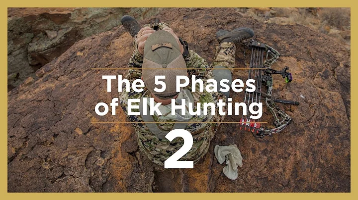 PRE-RUT | The 5 Phases of Elk Hunting