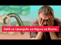 FAHAMU DALILI ZA UPUNGUFU WA NGUVU ZA KIUME
