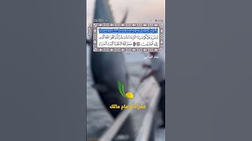 تلاوة خاشعة وهادئة مختارة من سورة المائدة || الآية 96 || القارئ عماد حرابي