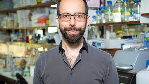 Scientist Stories: Ricardo Henriques, Super Resolution & Machine Learning in Imaging