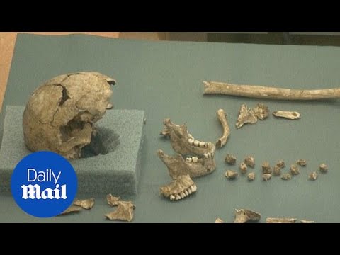 Remains of earliest English colony in America uncovered - Daily Mail