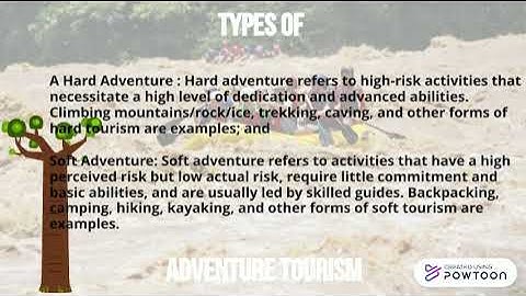 DETERMINANTS TRAVEL BEHAVIOUR