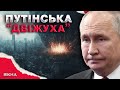 ТРАМП придавить ПУТІНА 2025 рік СТАНЕ КІНЦЕВОЮ точкою для КРЕМЛЯ ТРАМП придавить ПУТІНА 2025 рік СТАНЕ КІНЦЕВОЮ точкою для КРЕМЛЯ