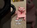 Squishy Monkey Vs Jimmy The Pig Challenge