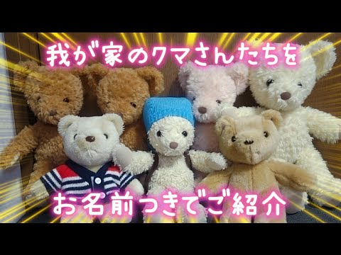 ぬい撮り】クマが集まる！ 我が家のクマさんたちをご紹介。🐻104
