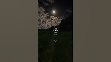 {آلْآنَ وَقَدْ كُنتُم بِهِ تَسْتَعْجِلُونَ} #قرآن #عبدالرحمن_مسعد #سورة_يونس #راحة_نفسية #quran