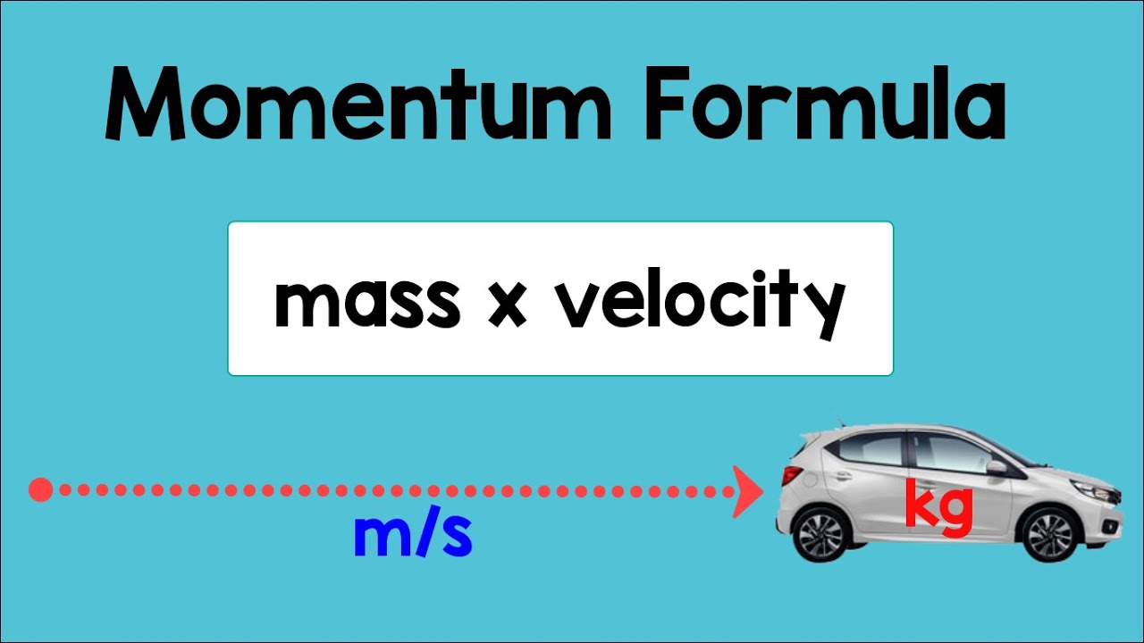 Momentum Formula | Physics Animation