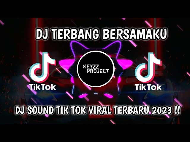 DJ TERBANG BERSAMAKU || DJ PELUK ERAT TUBUHKU SENTUHLAH JEMARIKU JEDAG JEDUG MENGKANE VIRAL TIK TOK class=