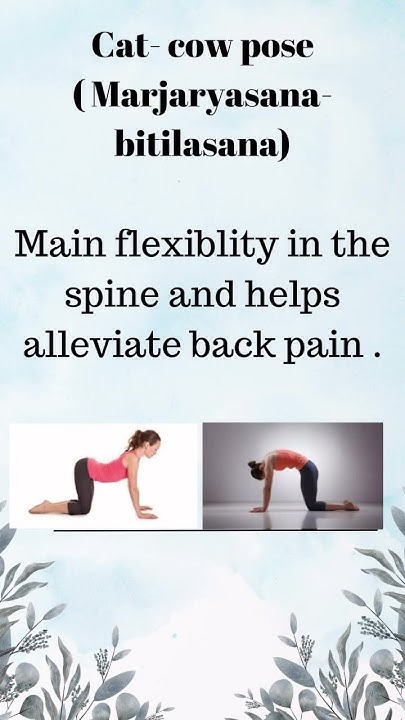 how-to-relieve-pain-in-periods-painful-periods-exercise-in-periods