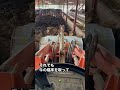 【牛の寝床変え】牛さん大はしゃぎ〜