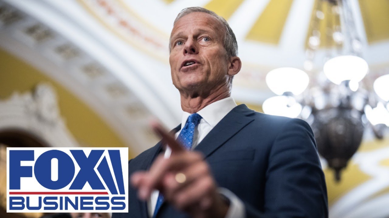 Sen. John Thune speaks after being elected Senate majority leader - YouTube