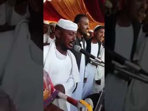 الفنان ودالبله