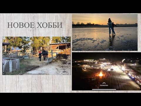 НОВОЕ ХОББИ ДОЧЕРИ ГЕРМАНИЯ ВО ЛЬДУ ЗАБАСТОВКА ФЕРМЕРОВ ЖИЗНЬ МНОГОДЕТНЫХ В ГЕРМАНИИ