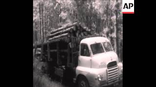 CAN 012 RUN UP TO ELECTION FOR NEW SOUTH AFRICAN STATE TRANSKEI