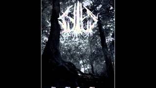 Sylvus - The Denial Of Transcendence 2013
